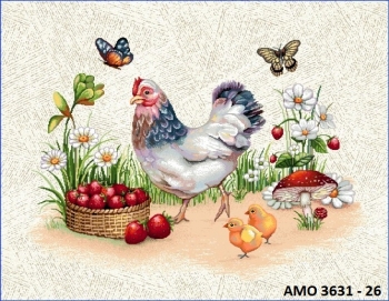 AMO 3631 Jacquard Placemats Design 26